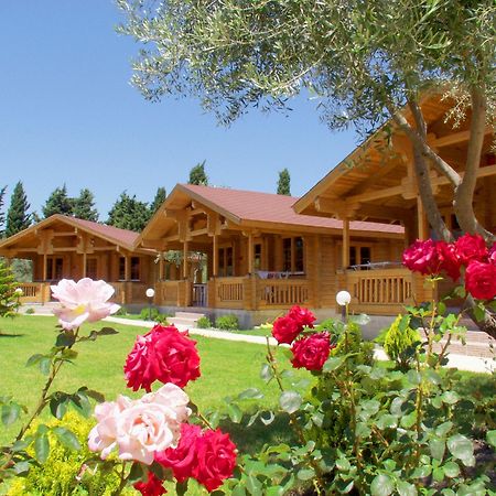 Sandys Studios Apartments And Log Villas Psalidi  Exterior foto